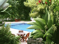 Swimming Pools10